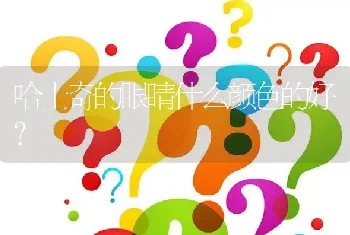 拉布拉多多大可以训练到外面拉巴巴？如何训练？