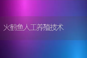 火鹤鱼人工养殖技术