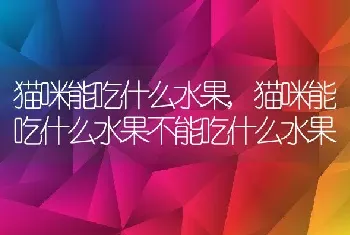 猫咪能吃什么水果，猫咪能吃什么水果不能吃什么水果