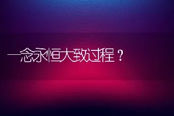 一念永恒大致过程？