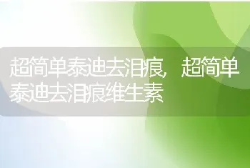 超简单泰迪去泪痕，超简单泰迪去泪痕维生素