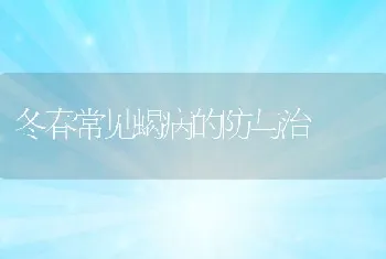 冬春常见蝎病的防与治