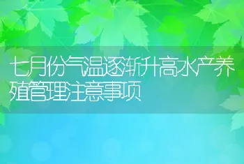 七月份气温逐渐升高水产养殖管理注意事项