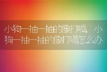 小狗一抽一抽的像打嗝，小狗一抽一抽的像打嗝怎么办