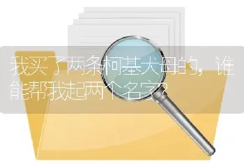 我买了两条柯基犬母的，谁能帮我起两个名字？