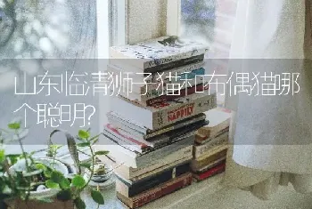 狗狗胰腺炎严重到住院了，治愈可能性大吗?求分析？