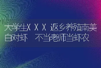 大学生XXX返乡养殖南美白对虾 不当老师当虾农