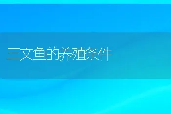 三文鱼的养殖条件