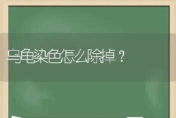 乌龟染色怎么除掉？