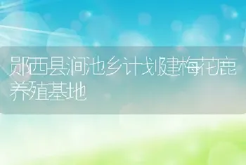 郧西县涧池乡计划建梅花鹿养殖基地