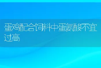 蛋鸡配合饲料中蛋氨酸不宜过高