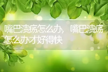 嘴巴溃疡怎么办，嘴巴溃疡怎么办才好得快