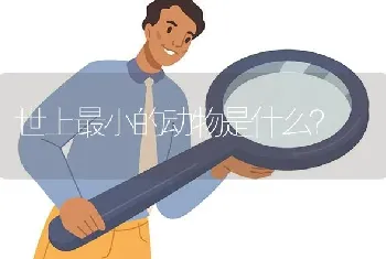 世上最小的动物是什么？