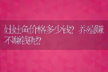 娃娃鱼价格多少钱?养殖赚不赚钱呢?