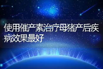 使用催产素治疗母猪产后疾病效果最好