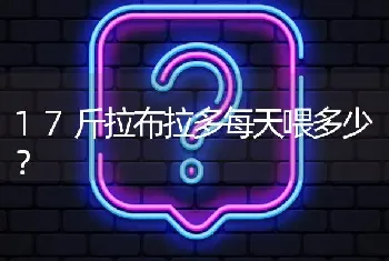 17斤拉布拉多每天喂多少？