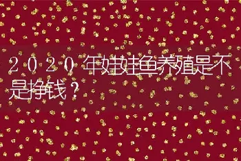 2020年娃娃鱼养殖是不是挣钱？