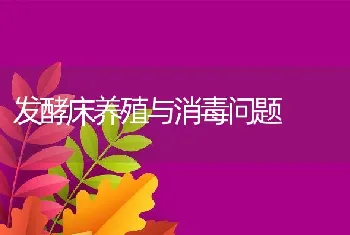 发酵床养殖与消毒问题