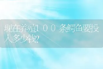 现在养殖100条鳄鱼要投入多少钱？