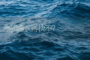 泰狮鱼长得快不？