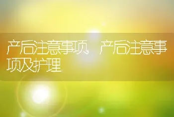 产后注意事项，产后注意事项及护理