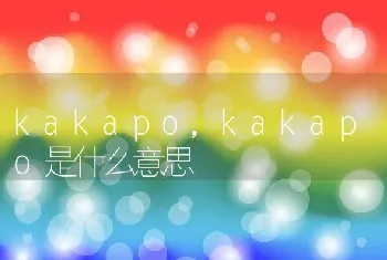 kakapo，kakapo是什么意思