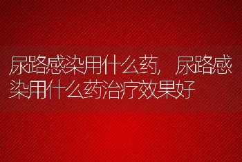 尿路感染用什么药，尿路感染用什么药治疗效果好