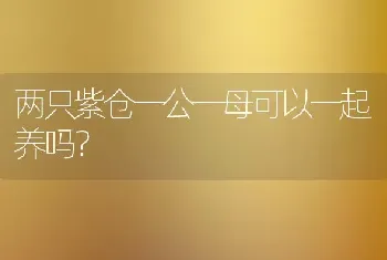 两只紫仓一公一母可以一起养吗？