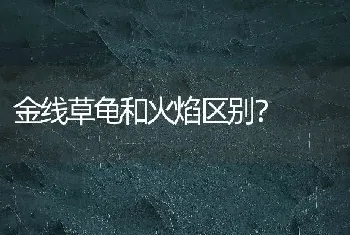 泰迪不小心吃了鸡骨头,现在排的大便都是骨头,好像没有出血,可以喝水吗？