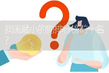 我国最小的狗排行榜前十名？