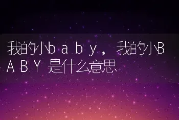 我的小baby，我的小BABY是什么意思