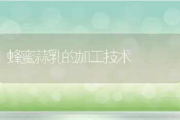 养犬管理条例实施在即宠物狗大跌价