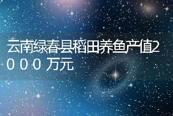 云南绿春县稻田养鱼产值2000万元