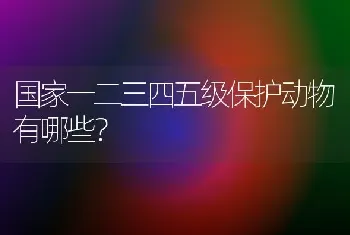 狗拉稀但是精神挺好怎么回事？