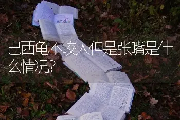 博美，萨摩耶，银狐，比熊，哪个体积大，毛更滑，价格相比(幼犬)？