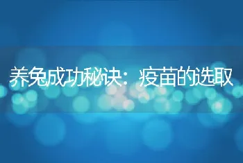 初学养蝎应注意的两大问题