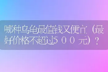 哪种乌龟最值钱又便宜（最好价格不超过500元）？