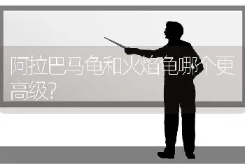 阿拉巴马龟和火焰龟哪个更高级？