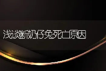 浅谈断奶仔兔死亡原因