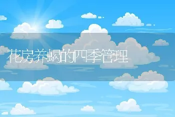 花房养蝎的四季管理