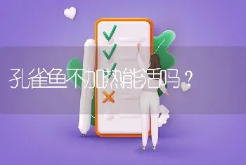 孔雀鱼不加热能活吗？