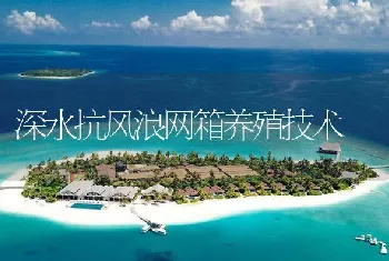 深水抗风浪网箱养殖技术