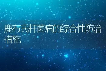 六招防甲鱼冬眠死亡