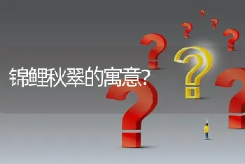 锦鲤秋翠的寓意？