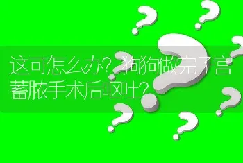 这可怎么办？狗狗做完子宫蓄脓手术后呕吐？