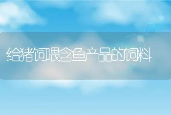 给猪饲喂含鱼产品的饲料