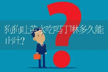 狗狗吐黄水吃吗丁啉多久能止吐？