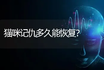 求助贴.家里的狗狗突然倒吸气.像是嗓子卡到东西了？