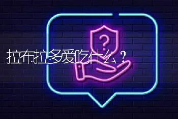 拉布拉多爱吃什么？