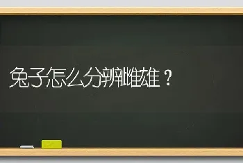 兔子怎么分辨雌雄？